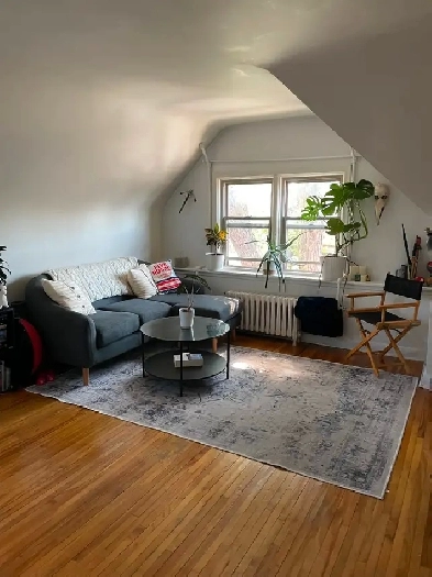 One bedroom, Sydenham Ward - aug 1 or Sept 1 Image# 5
