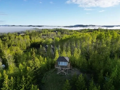 4ac Lot - 2350 Sharelene Drive Image# 5
