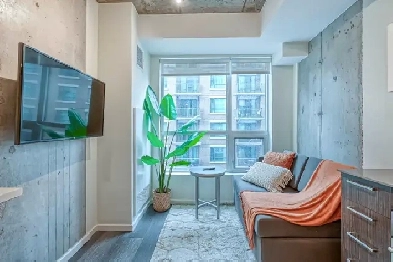 Studio Apartment Image# 7