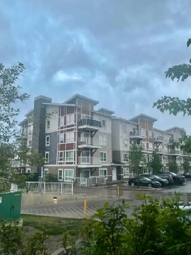 Room for rent in Skyview Image# 1