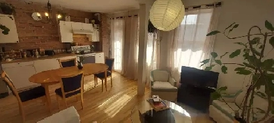 Bright Furnished 4 ½ Apartment in the Heart of the Plateau Image# 1