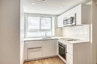 renovated studio apartment near blvd Saint-Laurent - ID 1108 Image# 1