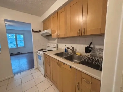 Huge LOFT 2 LEVELS 3 BDR Apartment for Rent (Dufferin Eglinton) Image# 4