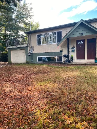 2 bedroom suite for rent Image# 3