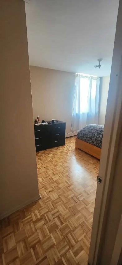 1BR Apartment Share – Male Roommate Needed Image# 1