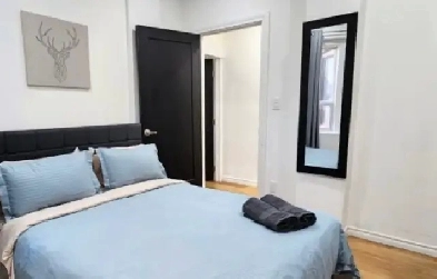 Room for rent near Seneca college. Image# 1