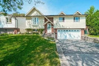 UTILITIES INCL'D-GORGEOUS 1 BEDROOM-LOWER APT-2 PARKING-BRAMPTON Image# 3