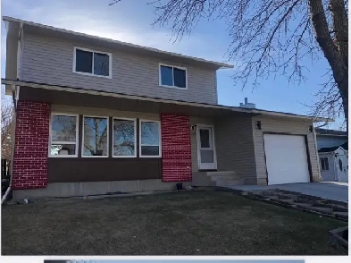Brand new 1-Bedroom Basement For Rent In Castleridge NE Image# 5