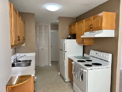 Downtown Condo for Rent Image# 7