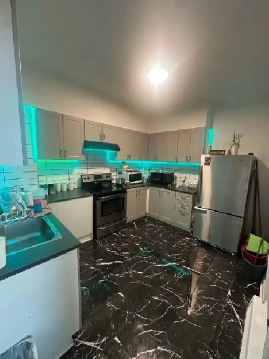 Room for rent in luxurious appartment Image# 4