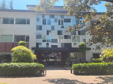 Private 1 bedroom for rent in Kitsilano Image# 1