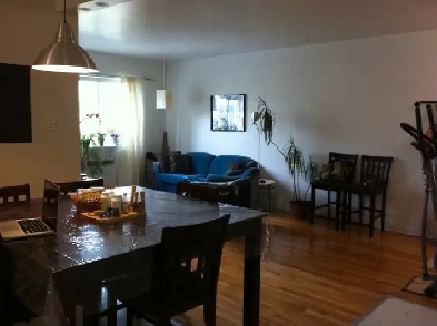 BEAU grand 4½,CDN, près HEC, Ste-Justine, 1ER JUILLET Image# 7