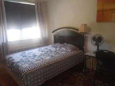 One Bedroom Furnished sharing in 2 Bed Apartment in Thorncliff۔ Image# 4