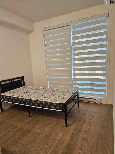 Apartment for rent Image# 1