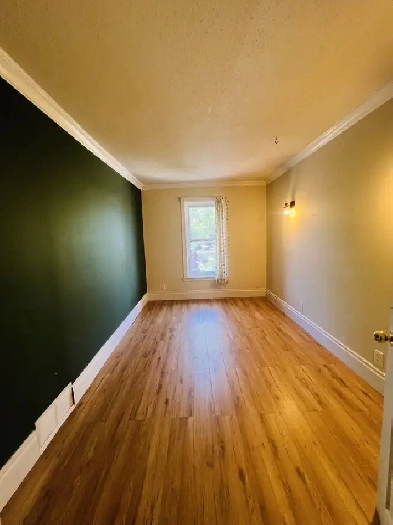 NICE BIG Room for rent in heart Hamilton Image# 1