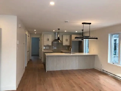 Sunny, modern, 4 1/2 in St. Hubert, 2 parkings, new construction Image# 8