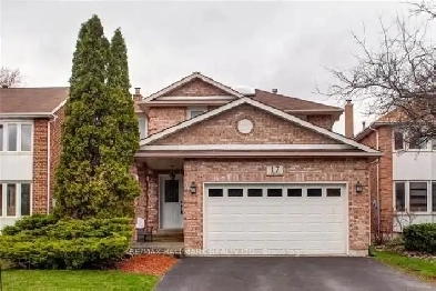 Richmond Hill Basement for rent Only $1,200 Private Washroom Image# 1