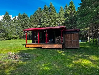 Terre à bois 50 acres Image# 6