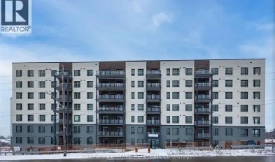 condo roommate Image# 2