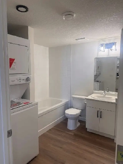Brand new 1 Bedroom basement suite Image# 7