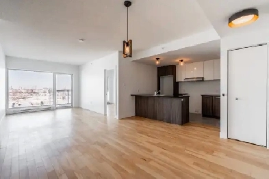 Appartement 4 ½ à louer – Rue Myra-Cree, Montréal (H1K) Image# 12