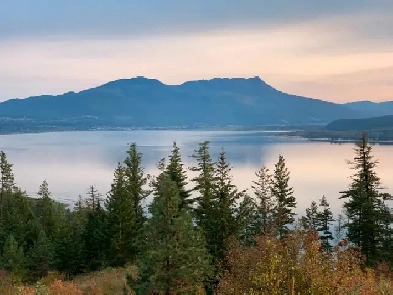19 Acres Waterfront Shuswap Lake Image# 6