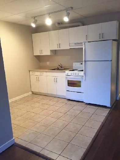 Private & Central 1 BD Apartment near Downtown Image# 6