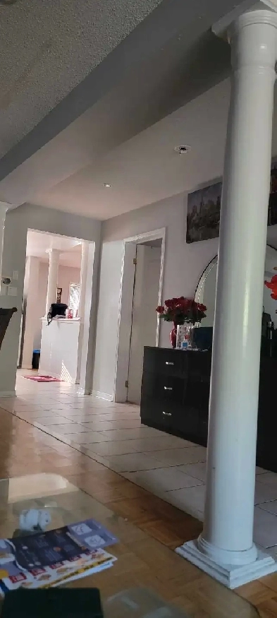 Need 2 girls for 1 bedroom Image# 1