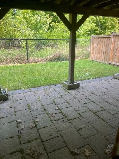 Basement for Rent Image# 1