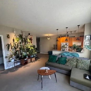 Spacious 1-Bedroom Corner Condo – Cat Friendly | July 1 | Image# 4