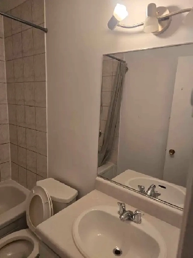Appartement à louer Image# 1