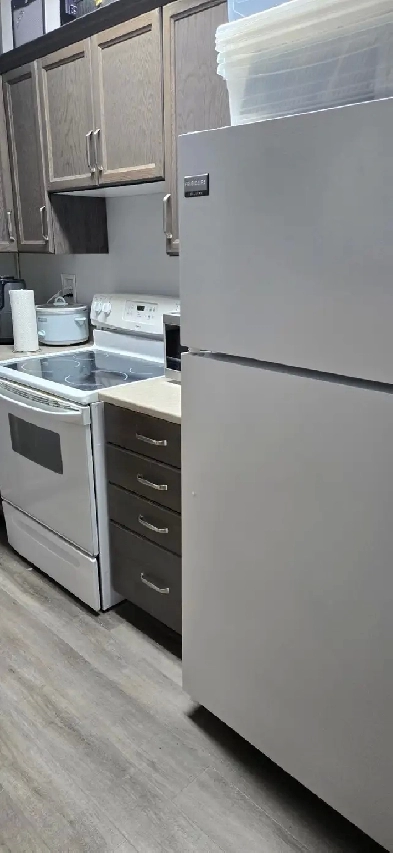 Small bachelor apartment for rent Image# 5