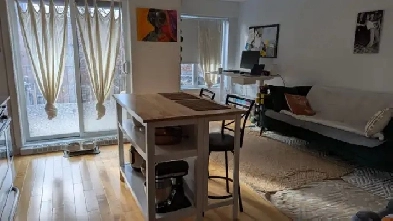 Jolie 3 et demi - Plateau Mont-Royal (Parc Laurier) Image# 1