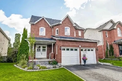 1 Bed 1 Washroom Basement for rent Image# 1