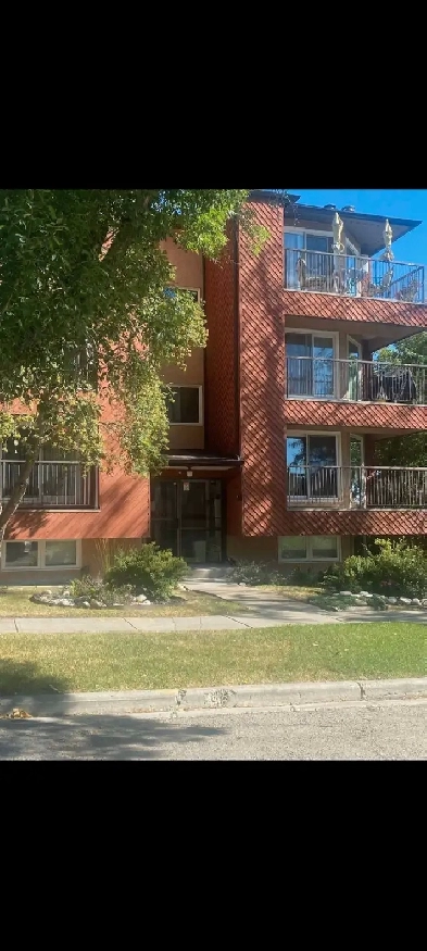 Large Sunny 2 Bedrm 2 Bath Crescent Heights Condo - Pets Image# 6