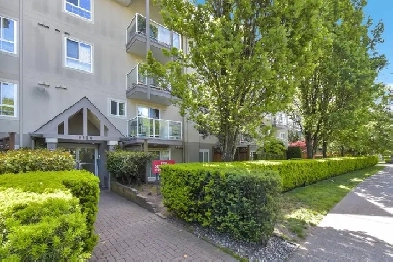 Bright and Spacious Corner Unit! Image# 1