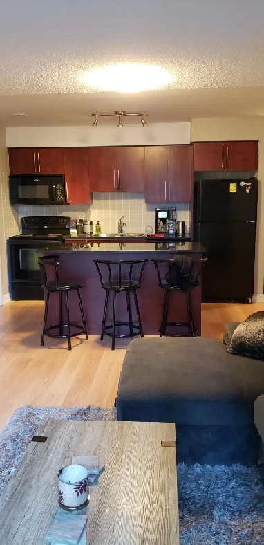 1 Bedroom Condo for Rent in Etobicoke (Steps from TTC) Image# 5