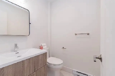 2 Bedrooms & 1 Bathroom Available in LaSalle (New Construction) Image# 8