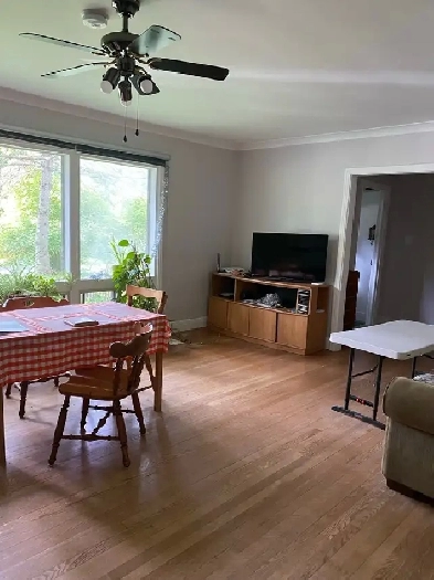 Bright room in house for rent 16 June to 16 August Image# 1