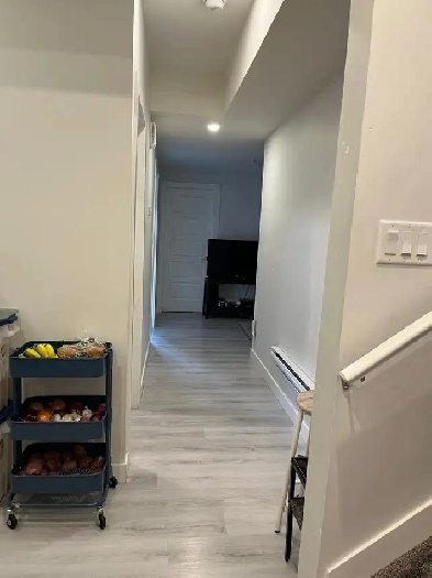 2 Bedroom basement available for rent in Keswick Area Edmonton Image# 1