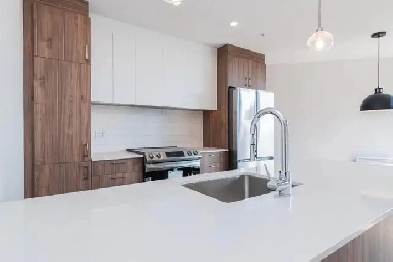 Big 1 Bedroom & 1 Bathroom Available in LaSalle(New Construction Image# 1