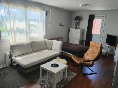 Beautiful 1 Bed 1 Bath Apartment Image# 1