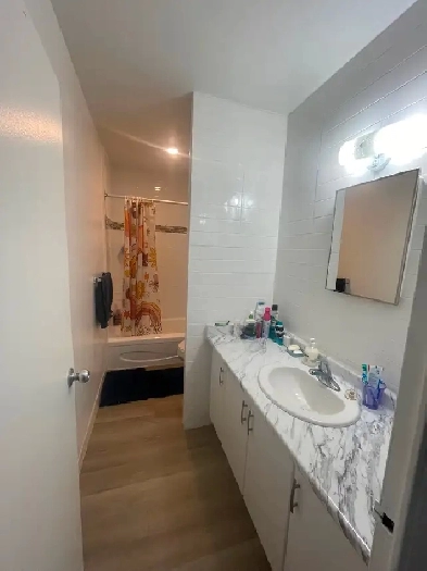 Short Term Apartment sublease Image# 1