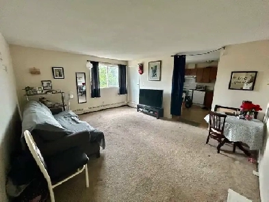 1 bedroom apartment for rent Image# 1