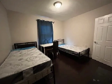 Shared Room Rent $550 all Inc. TTC@Door, Warden Station Toronto Image# 2