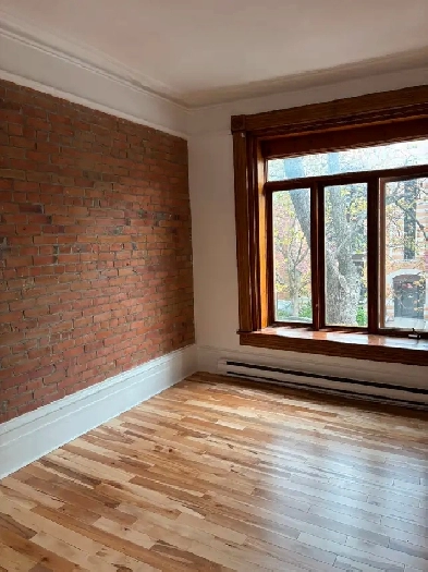 2 bed 1 bath 5.5 charming apartment Saint Henri Image# 1