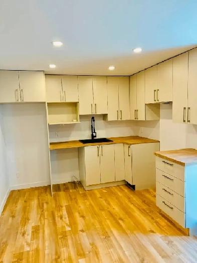 Logement 3 et demi neuf Image# 3