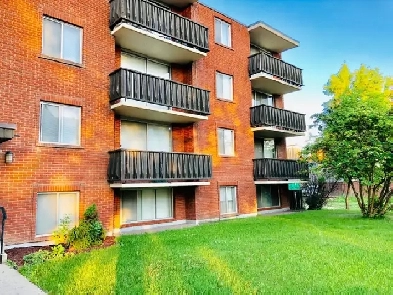 Super large corner 1 bed apartment in Kensington, near LRT &SAIT Image# 1