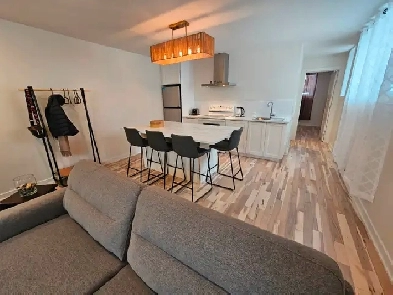 A louer 3 1/2 meublé, rénové   électricité INCLUSE - Juillet Image# 1