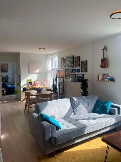 Grand 4 1/2 Très Lumineux Image# 1